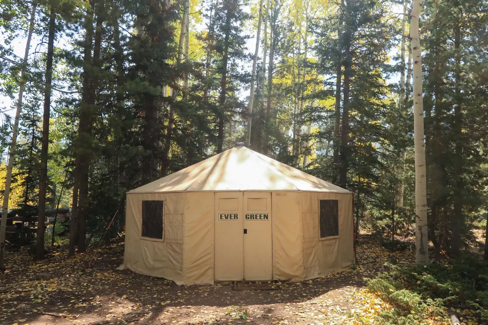 An Evergreen Resource yurt set up in a forest base camp