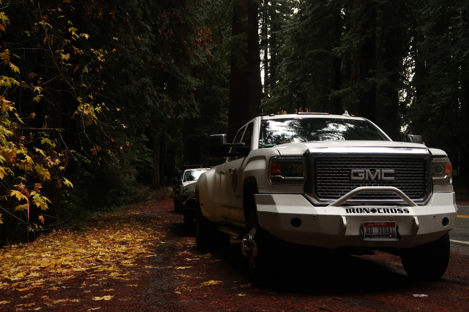 A branded Evergreen Resource GMC truck on a forested autumn road
