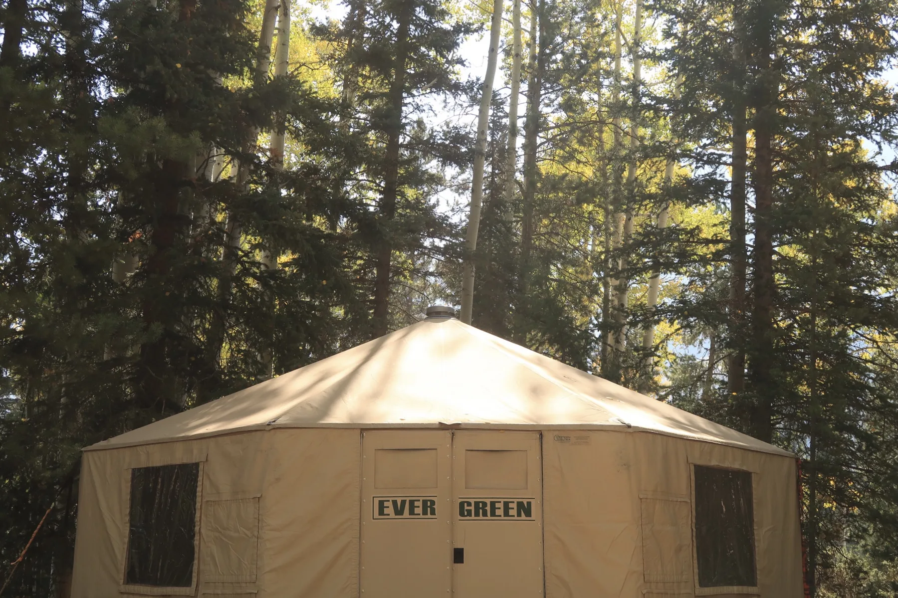 A branded Evergreen yurt set in tall pines
