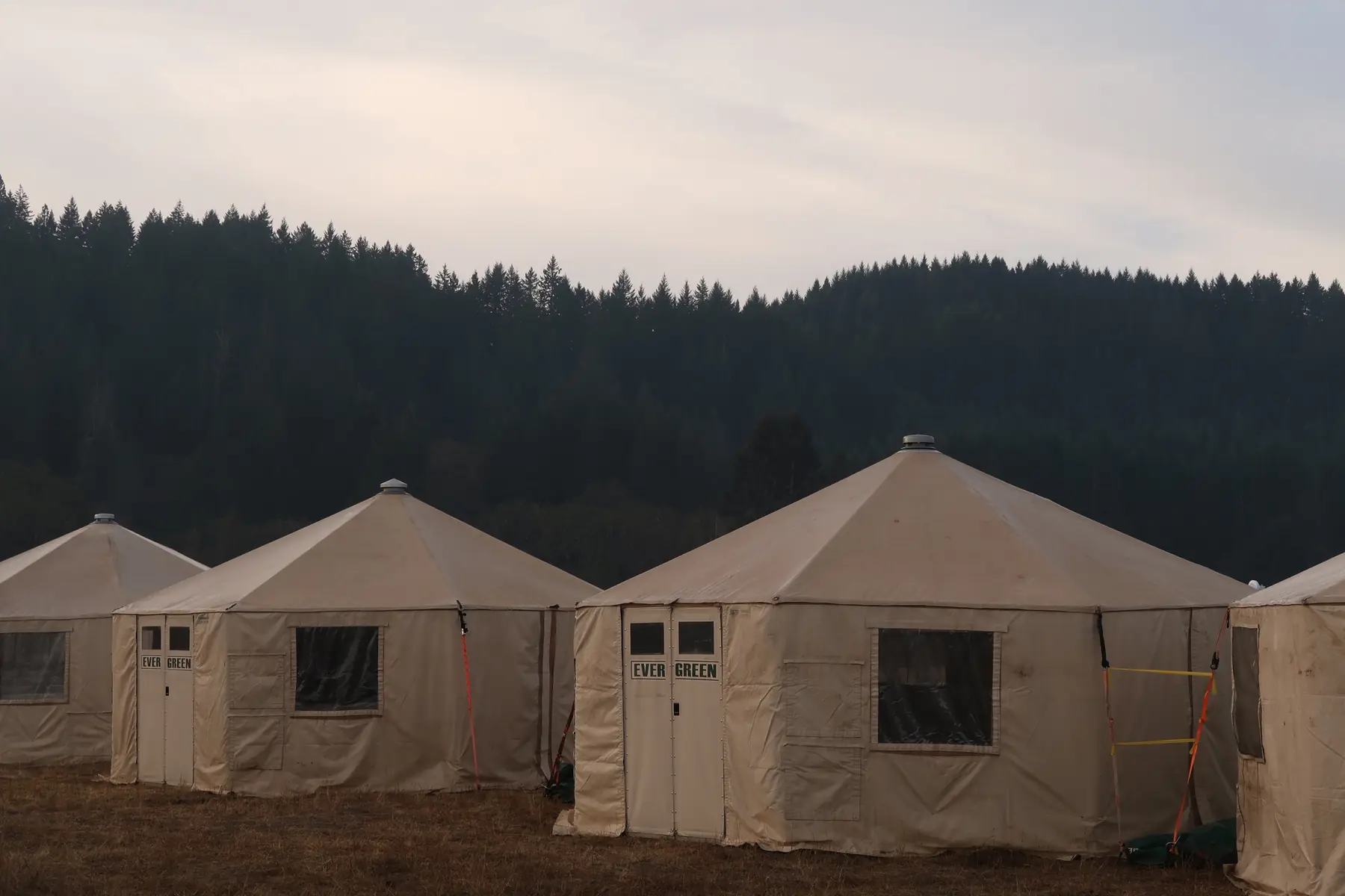 Two Evergreen yurts set side by side at the edge of a clearing